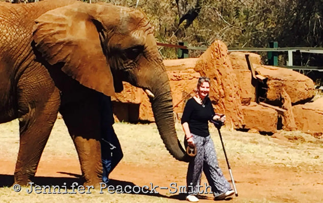 I love zebras, elephants, and my Smart Crutch :)