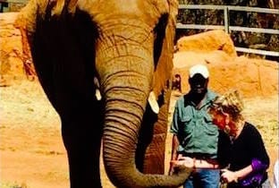 Jennifer Peacock-Smith has a 'Smart Crutch Crush' - read her blog to find out why