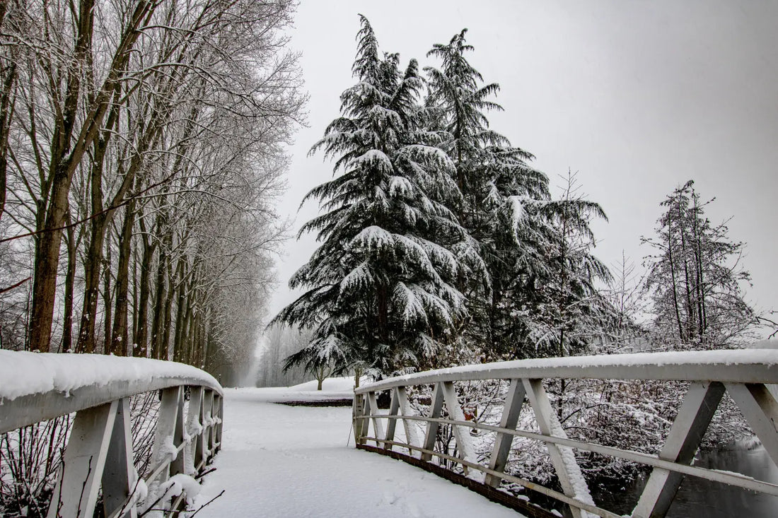 Snow Covered Bridge to Walkway