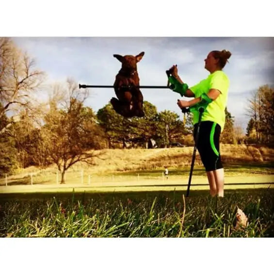Dog Jumping over Outstretched smartCRUTCH Being Held by a Woman in a Field