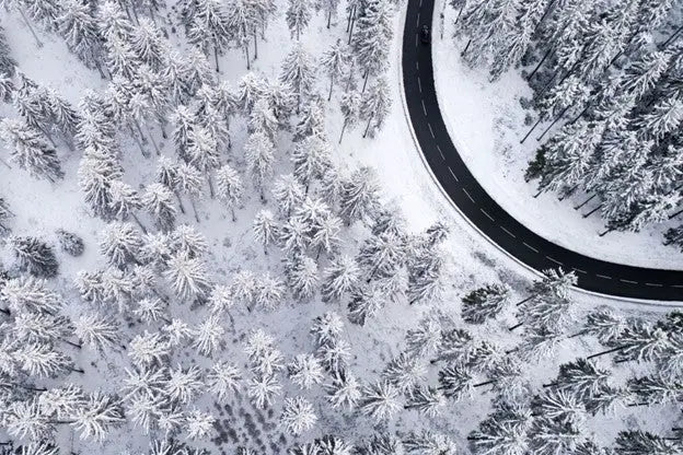 Overhead Picture of Road and Trees in Winter