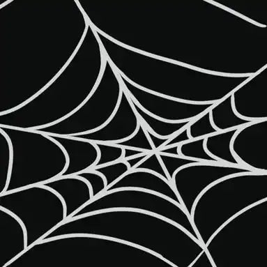 Spider web pattern with white lines on a black background.