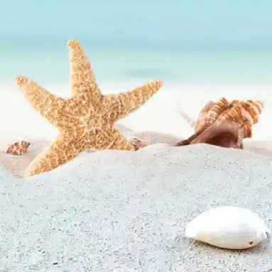 Tan starfish on sandy beach with seashells nearby.